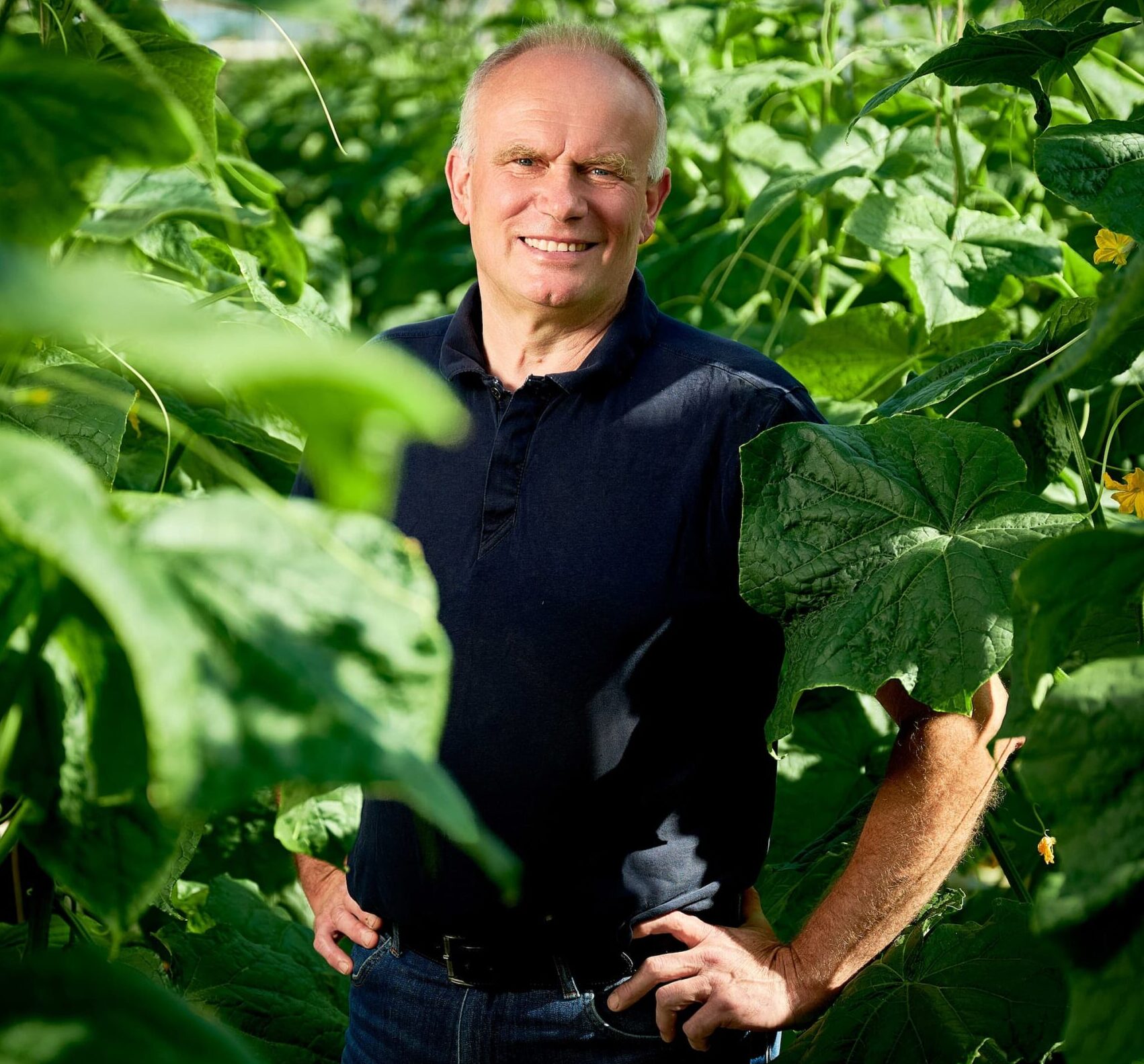 Søegaard Gartneri